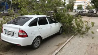 Деревья на машинах, крыши на земле: последствия шторма в Костанае