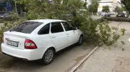 Деревья на машинах, крыши на земле: последствия шторма в Костанае