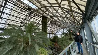 В ботаническом саду Петропавловска готовятся жечь костры для спасения растений