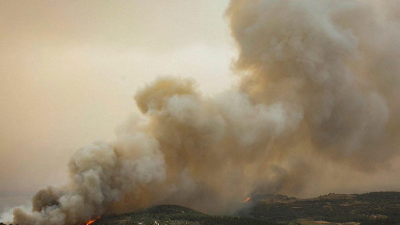 Фото: x.com/haaretzcom