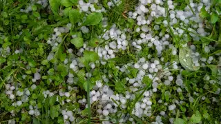 Сюрпризы мая: град, грозы и заморозки в Астане и Алматы