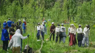 Почти 10 тонн мусора и 410 деревьев. В Казахстане стартовала экоакция Turaqty Jol 6.0