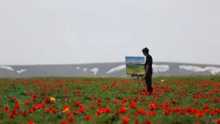 Тюльпаны из Жамбылской области могут войти в список наследия ЮНЕСКО