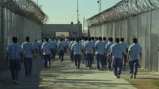 Сколько наркокурьеров и закладчиков выйдут на свободу раньше срока