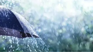 Грозы, ветер и туман - объявлены штормовые предупреждения