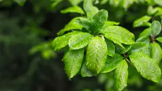 Ветрено, местами пройдут дожди и град: погода в Казахстане на 4 мая