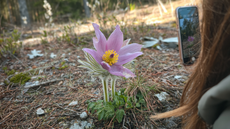 Изображение сгенерировано при помощи нейросети Midjourney