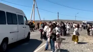 Международный фестиваль тюльпанов закончился скандалом в Жамбылской области