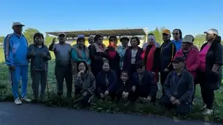 Жители Талгара требуют сохранить единственный в городе доступный большой стадион