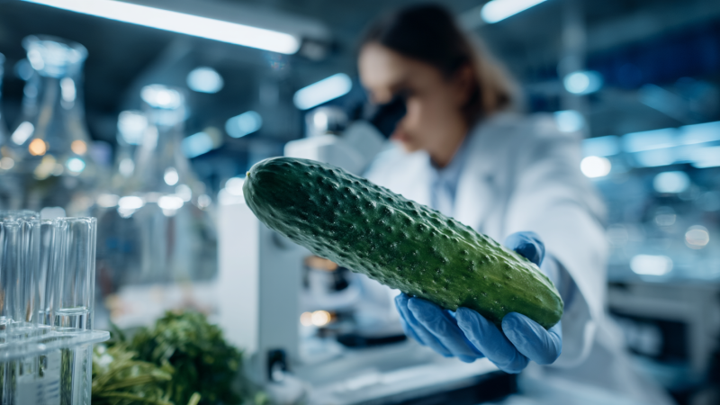 Изображение сгенерировано при помощи нейросети Midjourney