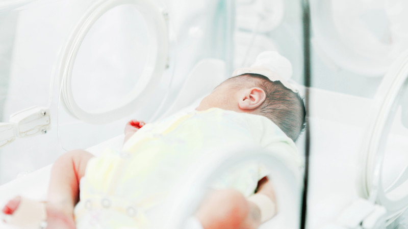 Фото:depositphotos.com