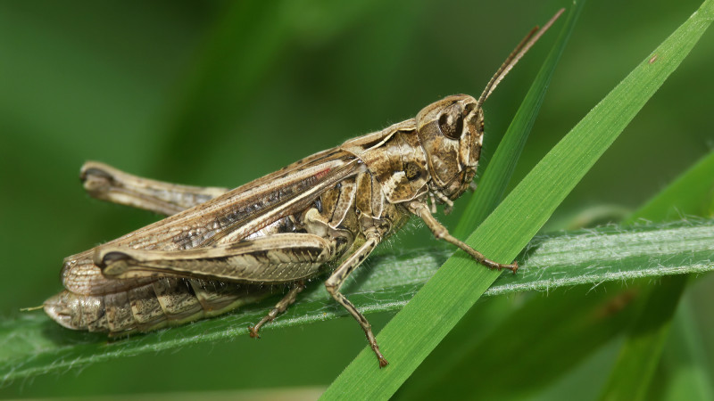 Фото:depositphotos.com