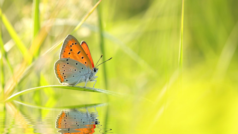 Фото:depositphotos.com