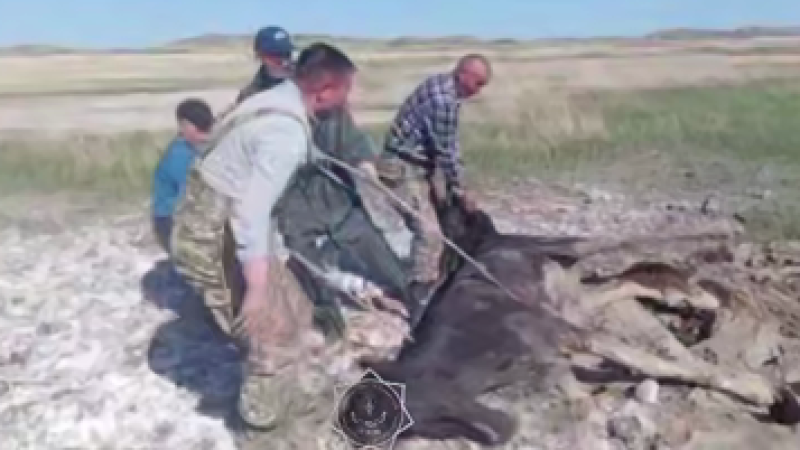 Кадр из видео: МЧС