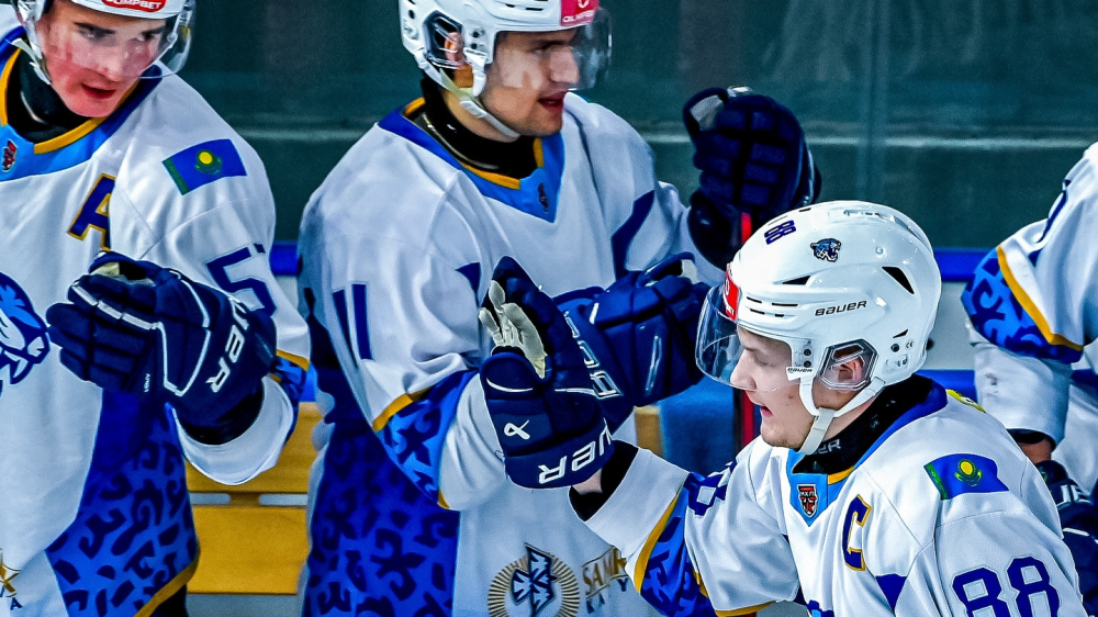 Фото: instagram.com/snezhnye_barsy/