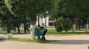 Зеленые деревья срубили в центре Уральска