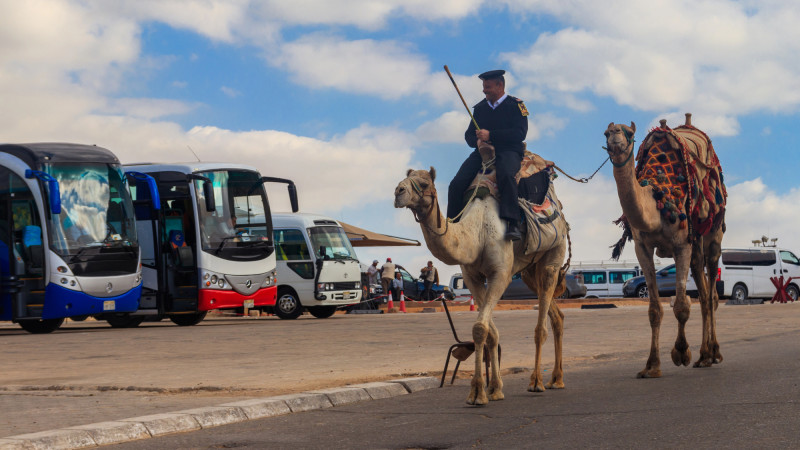 Фото:depositphotos.com/OlyaSolodenko