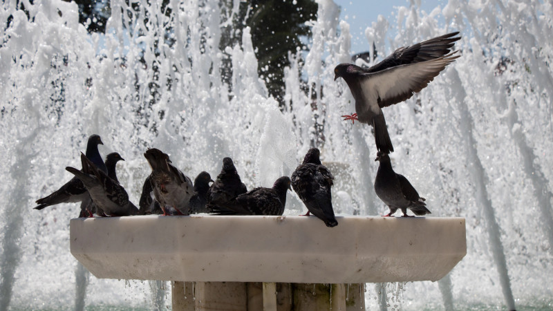 Фото:depositphotos.com