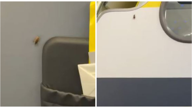 Кадры из видео