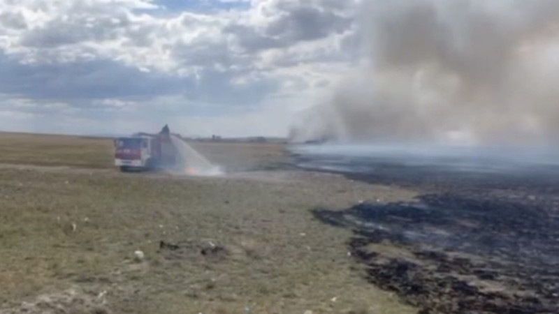 Скрин из видео