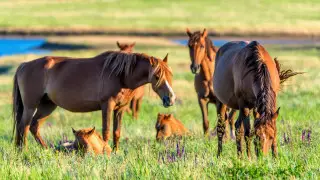 Зной возвращается: где будет жарче всего в Казахстане