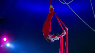 Гимнастка сорвалась с высоты в цирке Астаны