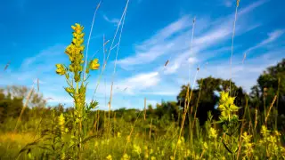 Погода налаживается: что ждет Астану и Алматы в ближайшие дни