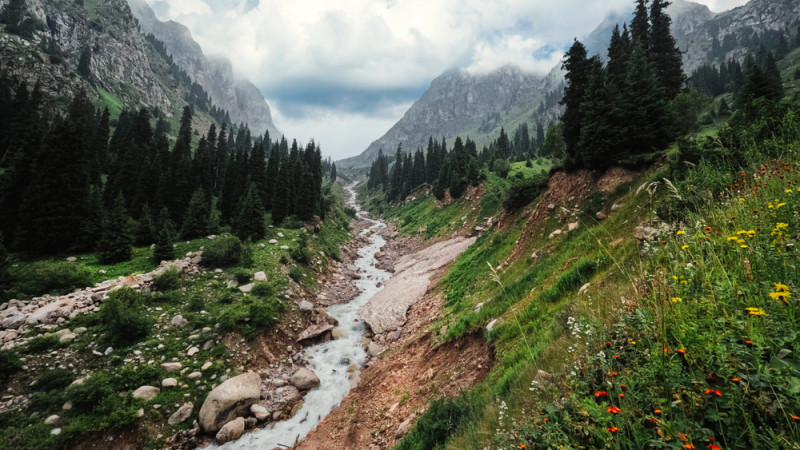 Фото:depositphotos.com