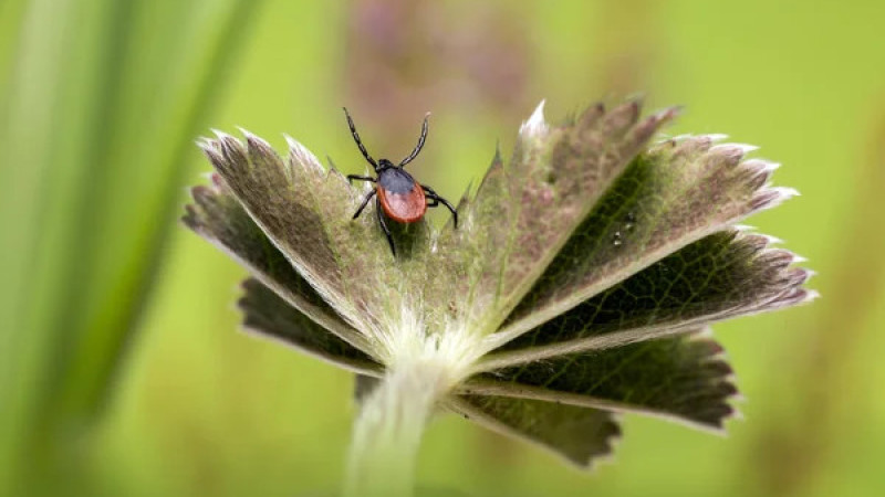 Фото:depositphotos.com