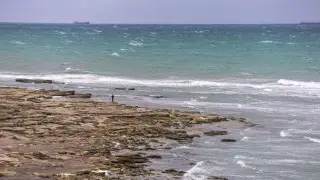 “Тогда не помогло, а теперь и вовсе вредит“: эколог о дноочистительных работах в Каспийском море