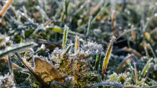 О заморозках в нескольких регионах и Астане предупредили  синоптики