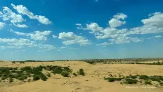 Села может засыпать песком - зона пустыни расширяется в Кызылординской области