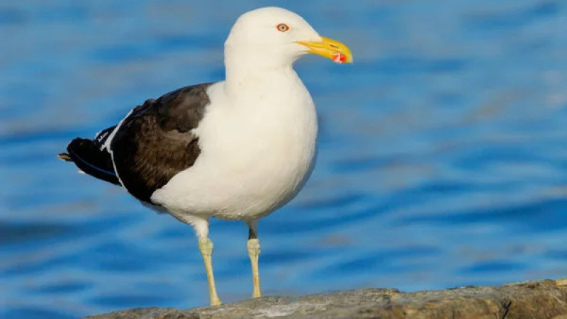 Фото:depositphotos.com