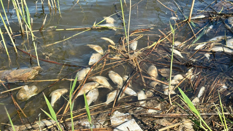 Фото ©️ Tengrinews.kz