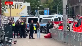 Женщина устроила резню на центральном вокзале Гамбурга, пострадали 17 человек