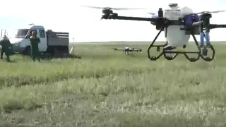 Дроны впервые применяют против саранчи в Западно-Казахстанской области