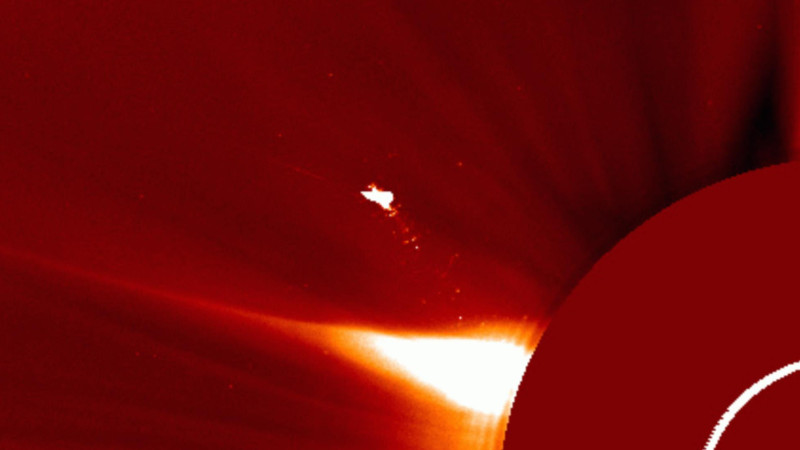 Фото: t.me/lpixras/491