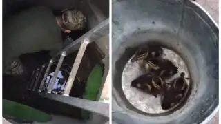 Утят вытащили из колодца спасатели в Усть-Каменогорске