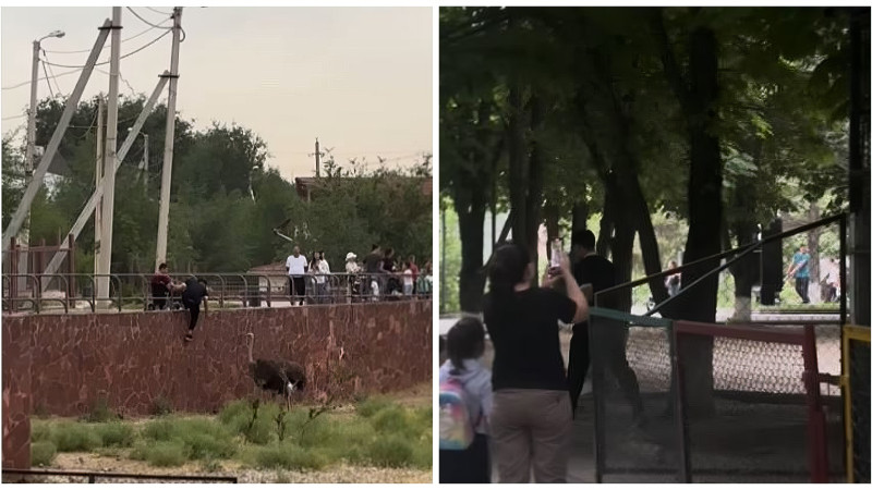 Кадры из видео