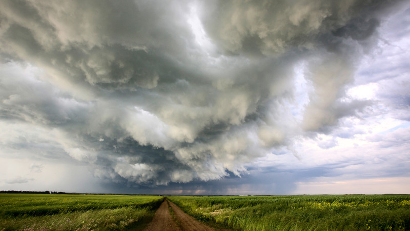 Фото:depositphotos.com