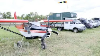 В Карагандинской области началась масштабная борьба с саранчой
