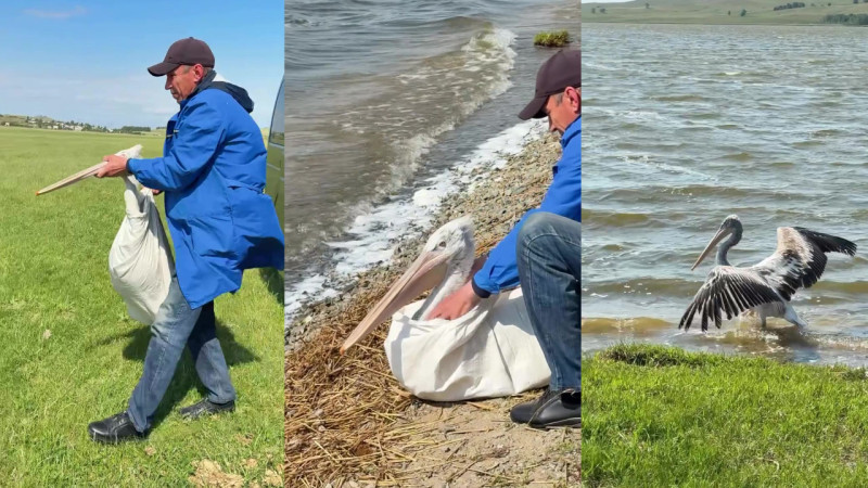 Кадры из видео