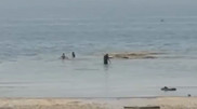 Не прошел мимо: казахстанец спас ребенка, прыгнувшего в воду в запретной зоне