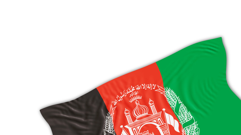 Фото: olgaguiskaja@gmail.com/depositphotos.com