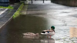 Накроют дожди: прогноз для Астаны и Алматы к началу июня
