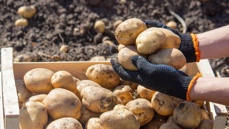Фото:depositphotos.com