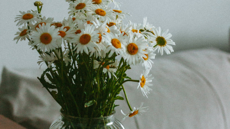 Фото ©️ Tengrinews.kz / Надежда Лыкова