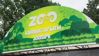 “Штрафы на полмиллиона“: толпу людей засняли в алматинском зоопарке