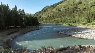 На жарком старте лета: чего ждать от погоды в Казахстане 4 июня