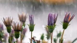 Кратковременные дожди: когда в Астане и Алматы ухудшится погода